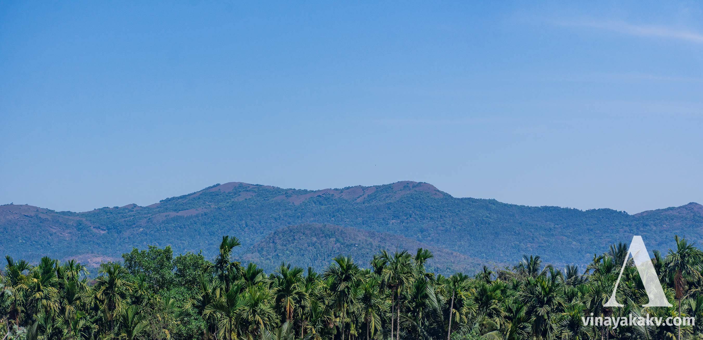 A mixture of deciduous and evergreen forests in the mountains at the last layer, with Areca Nut plantation in the foreground.