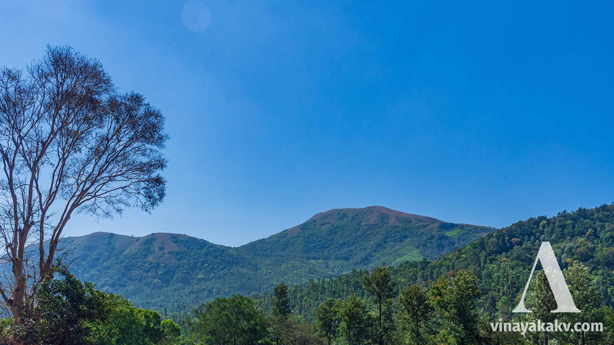 In the last layer, there is a mountain belonging to the bordering Western Ghats with a Tea plantation at the right and center, grassland on top, and native forest at the left. The mountain in the next layer is covered with a Coffee plantation.