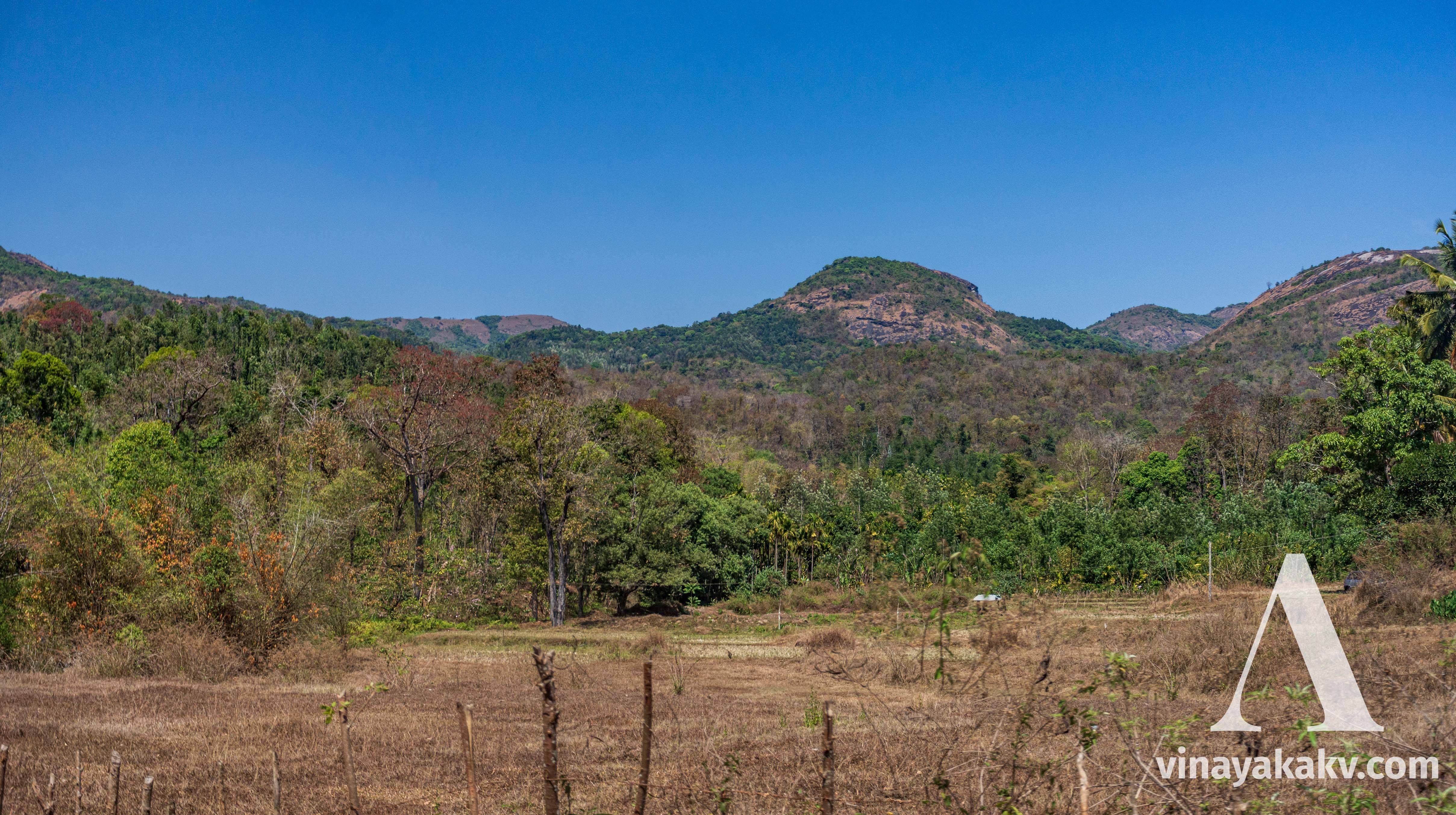 Rocky side ranges of _Chandradrona_ covered prominently with deciduous forests.