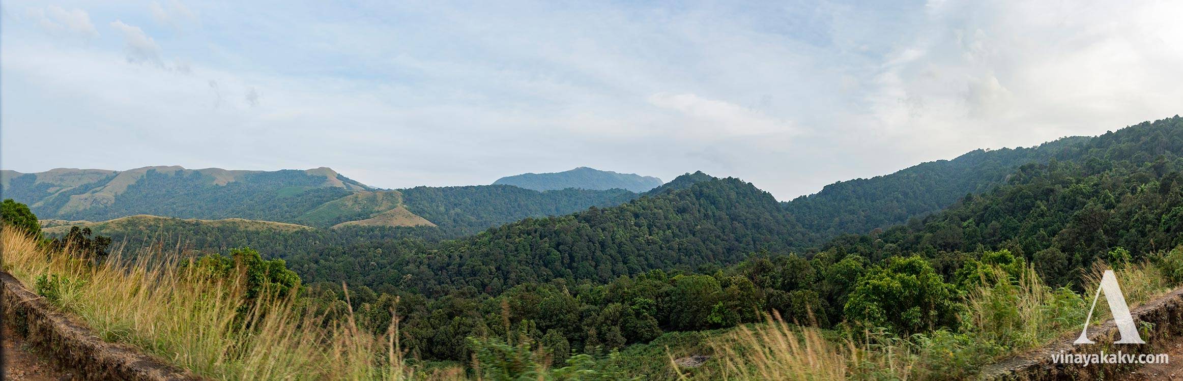 Various ecosystems of the Kuduremukha National Park summarized in one image. From the right side to the middle, tropical rainforests; at the left, the "shola" mountains.