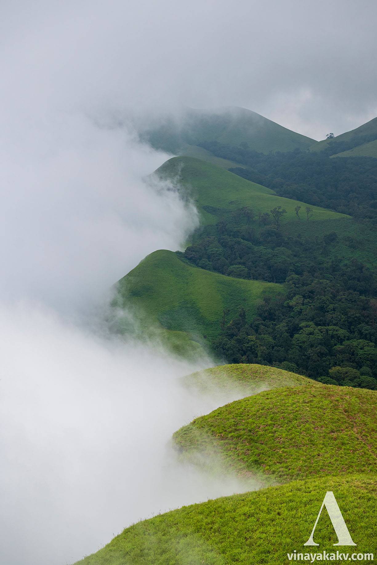 At the Edge of the Western Ghats
