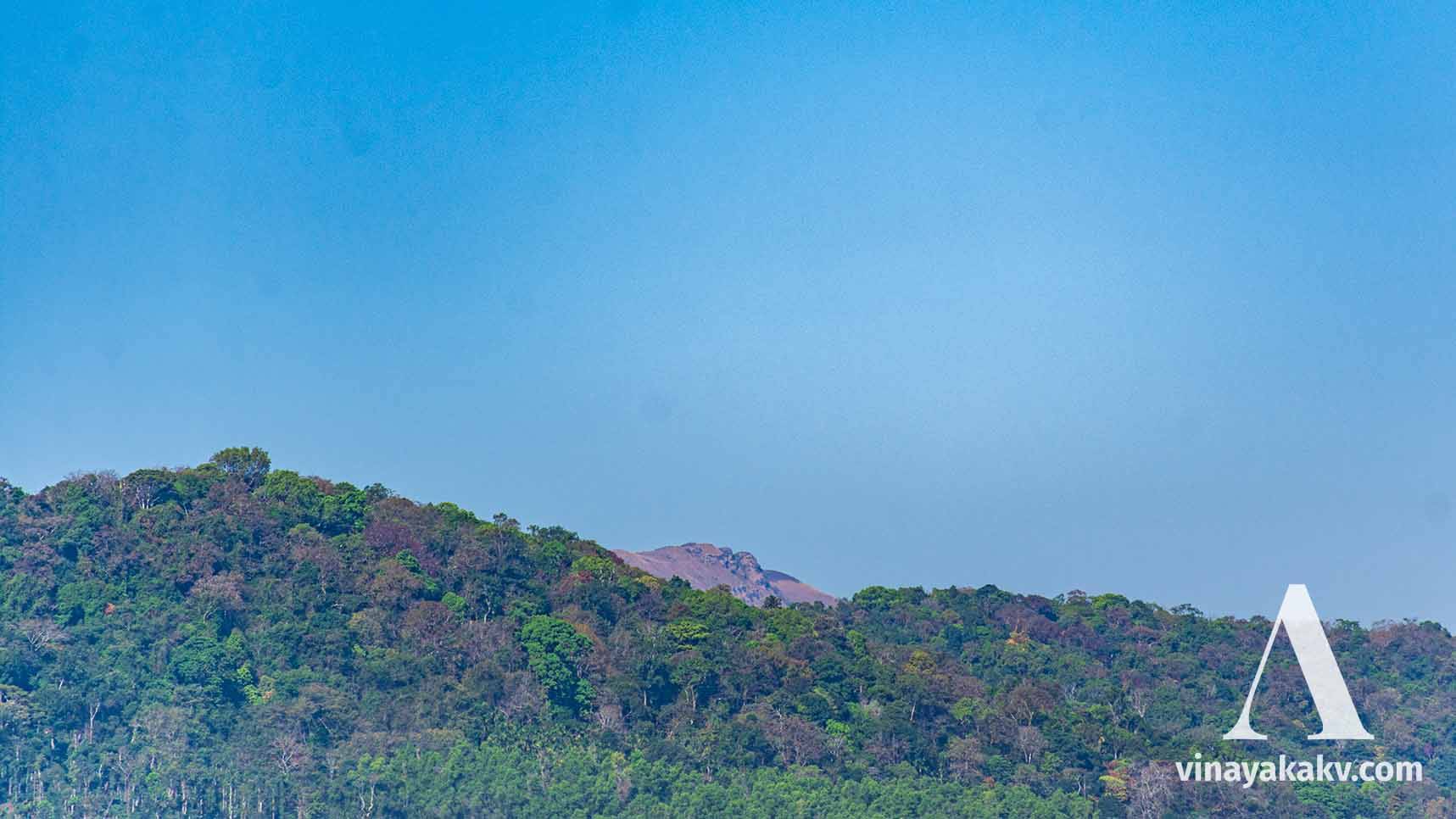 A hill at my native covered with the evergreen forest at the top, with Coffee and Areca nut plantation at the bottom. Behind, a rocky shola mountain with some of the grass burnt.